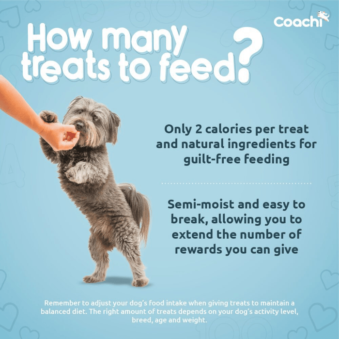 Blue background with a small grey dog pictured receiving a treat. With white text 'How many treats to feed?' and information below on the treats.
