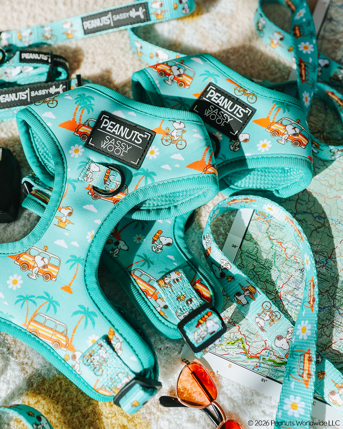 A close-up of teal Sassy Woof Dog Two Piece Bundle - Peanuts™ Road Tripping harnesses and leashes with Snoopy, palm trees, and vans—displayed with a map and orange sunglasses, Sassy Woof labels visible. Perfect for adventurous pups!.