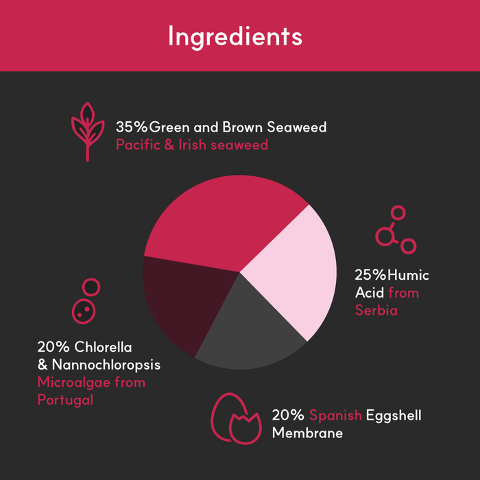 Pie chart of BorvoJoint+ ingredients — 35% Irish and Pacific seaweed, 25% Serbian humic acid, 20% Portuguese microalgae, and 20% Spanish eggshell membrane.