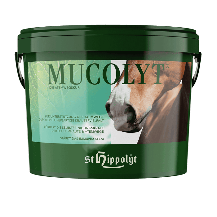 St. Hippolyt Mucolyt Atemwegskur