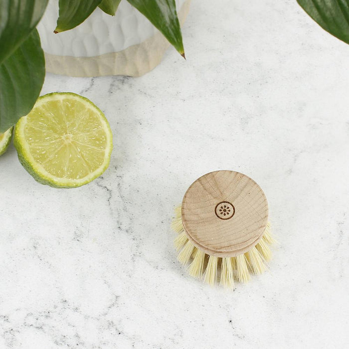 Wooden Replacement Head for Dish Brush with Plant Based Bristles &Keep