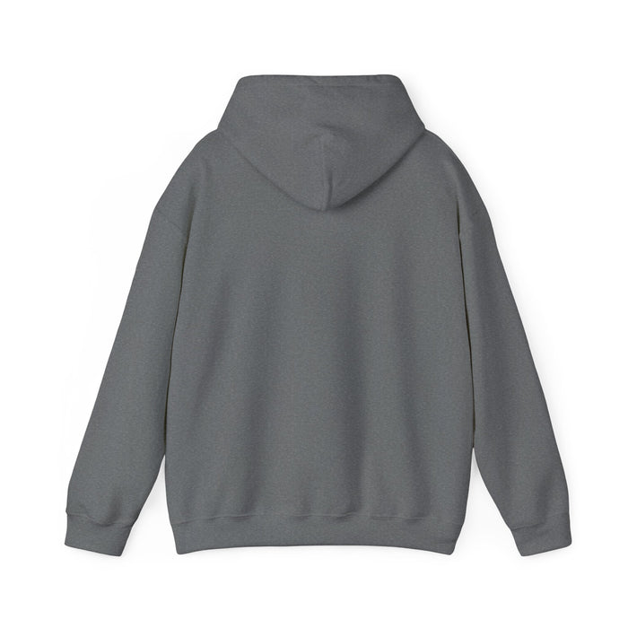 Buffalo Football Nickel City Hoodie | Vintage Embroidered Buffalo Football Hooded Sweatshirt