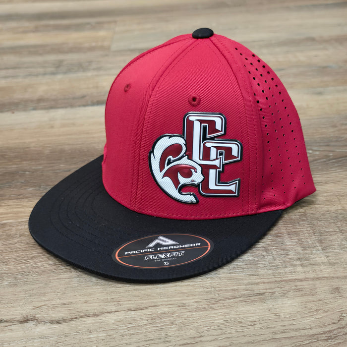 CC Pacific Headwear Flexfit YOUTH Hats~