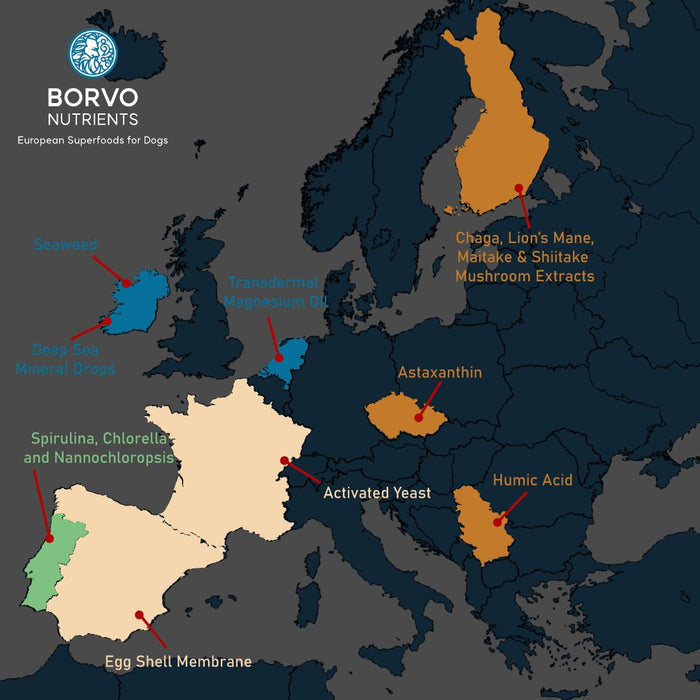 Borvo Nutrients Microalgae for Mature Dogs — European ingredient sourcing map showing origin of natural superfood components