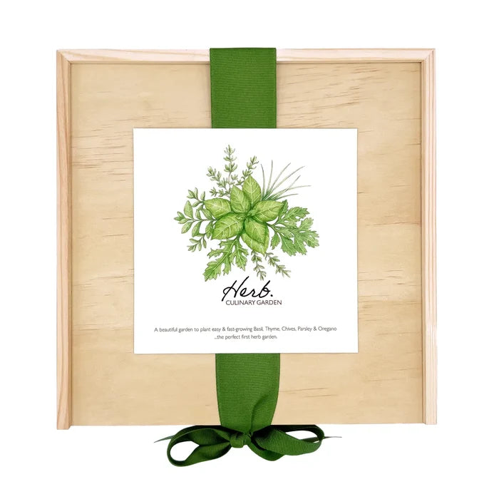 Culinary Herb Garden Box