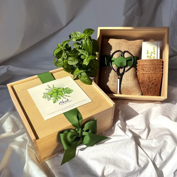 Culinary Herb Garden Box