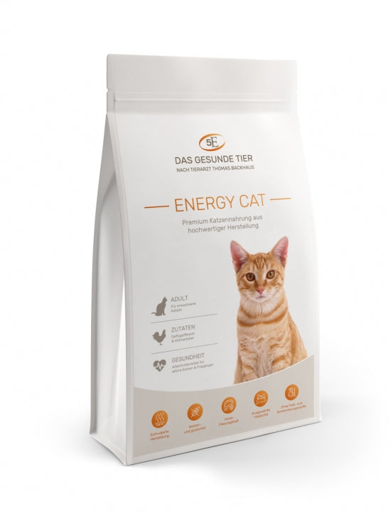 Das Gesunde Tier Energy Cat
