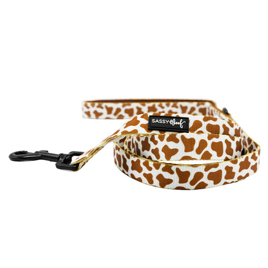 The Sassy Woof Dog Leash – Chocolate Milk features a brown and white cow print, padded neoprene handle, black metal clip, and Sassy Woof label. The leash is shown coiled in a loose spiral.