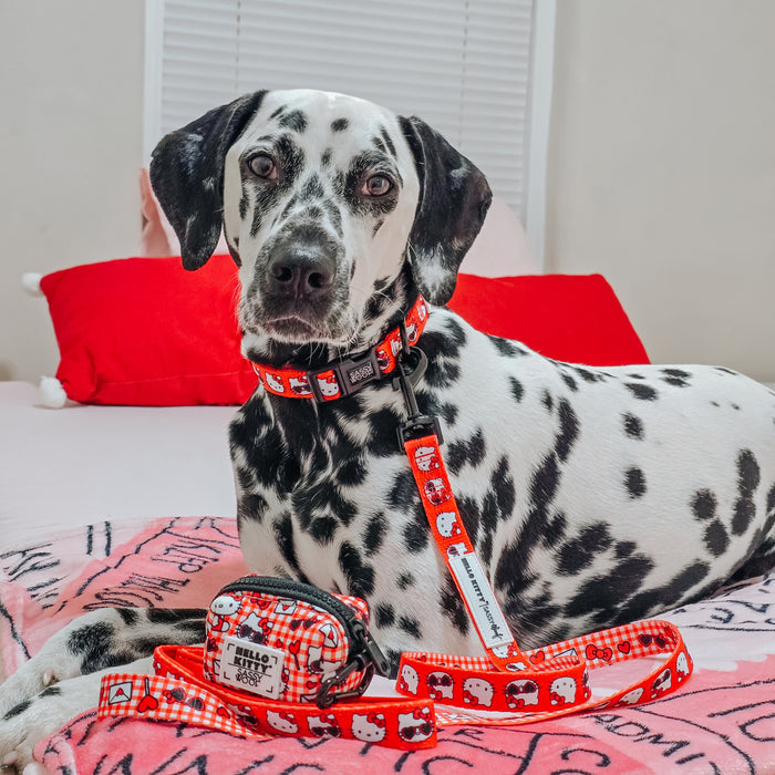 A Dalmatian dog with a Sassy Woof Dog Collar Three Piece Bundle - Hello Kitty® Red Classic sits on a bed with red and pink pillows and a pink Sanrio Hello Kitty blanket.