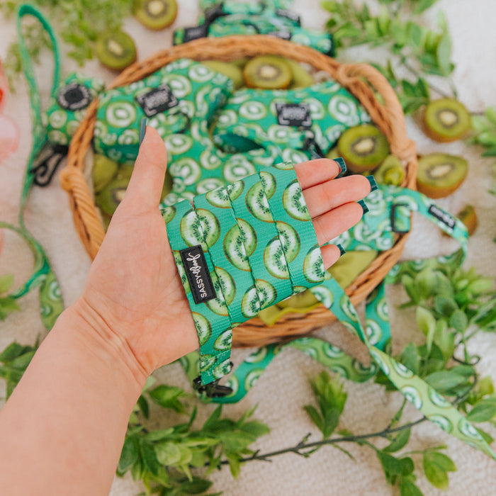 A hand holds the Sassy Woof Dog Leash - Kiwi Krazy, featuring a kiwi fruit pattern, in front of a basket of similar leashes with green leaves and kiwi slices scattered around.