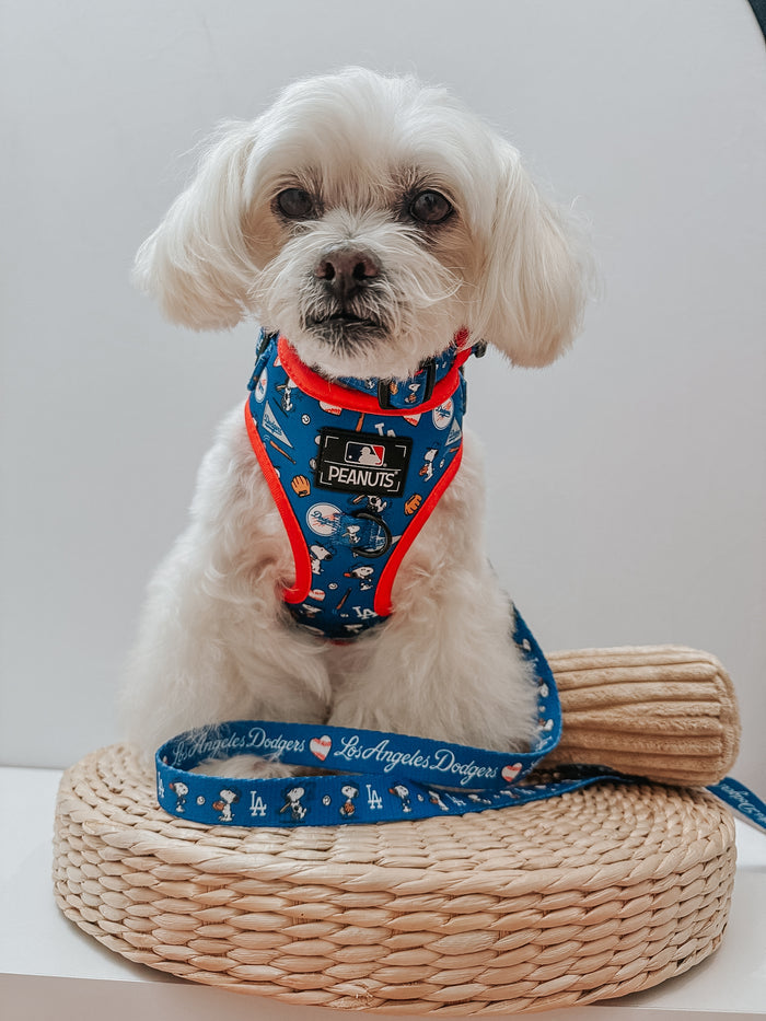 A small white dog in a blue Peanuts harness with red trim sits on a round woven mat. Nearby is the Sassy Woof Dog Leash - MLB™ x Peanuts™ Los Angeles Dodgers™, decorated with team logos and cartoon graphics against a plain background.