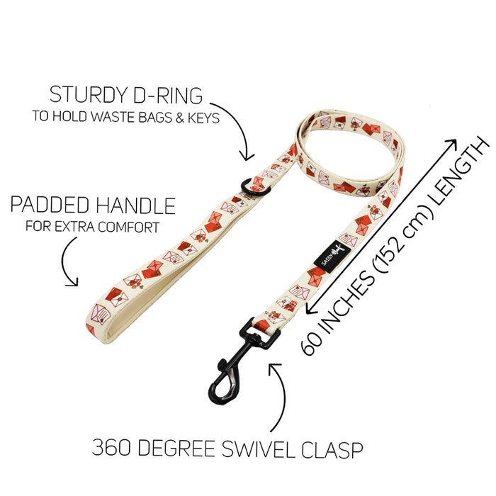 The Sassy Woof Dog Leash - P.S. I Woof You features easy-to-follow instructions, making it perfect for pairing with your favorite dog accessories or a matching dog harness.
