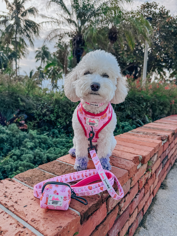 INFLUENCER_CONTENT | @LIL_COCO_STARR