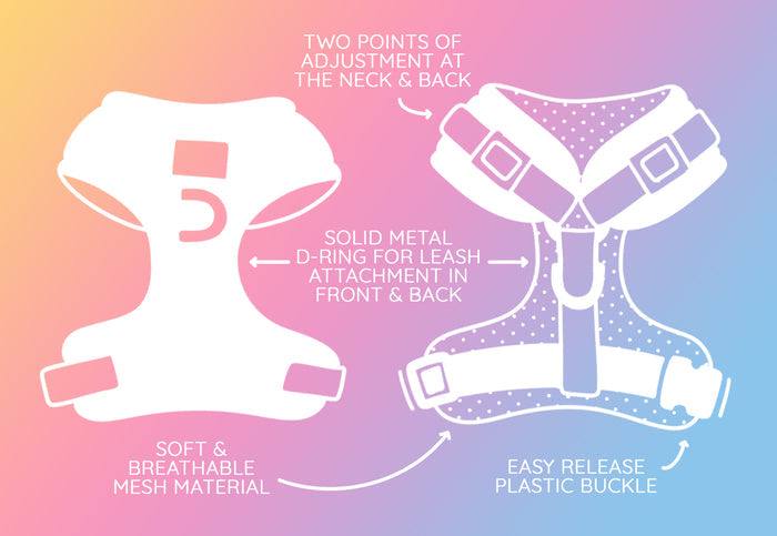 Diagram of the Sassy Woof Dog Four Piece Bundle - Peanuts™ Road Tripping harness, front and back views, featuring soft mesh, two adjustment points, solid metal D-ring, and easy-release buckle—ideal adventure gear for dogs.