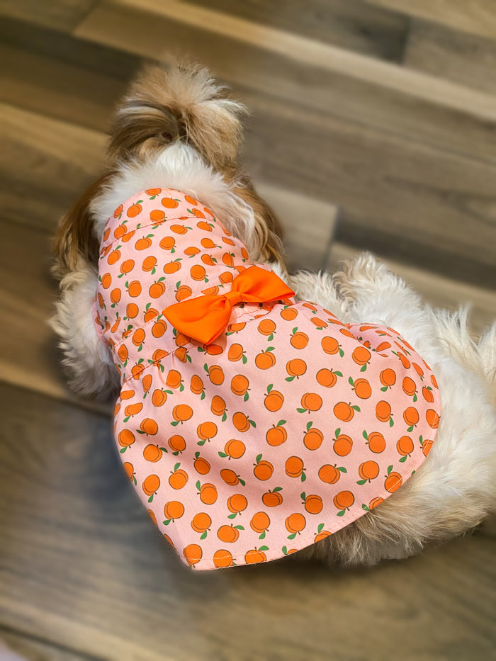 PEACHY-KEEN-DOG-DRESS1