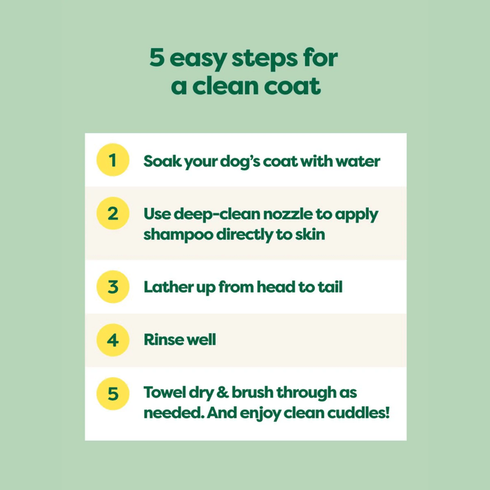 Light green background with step by step instructions on how to use the Short Coat Dog shampoo.