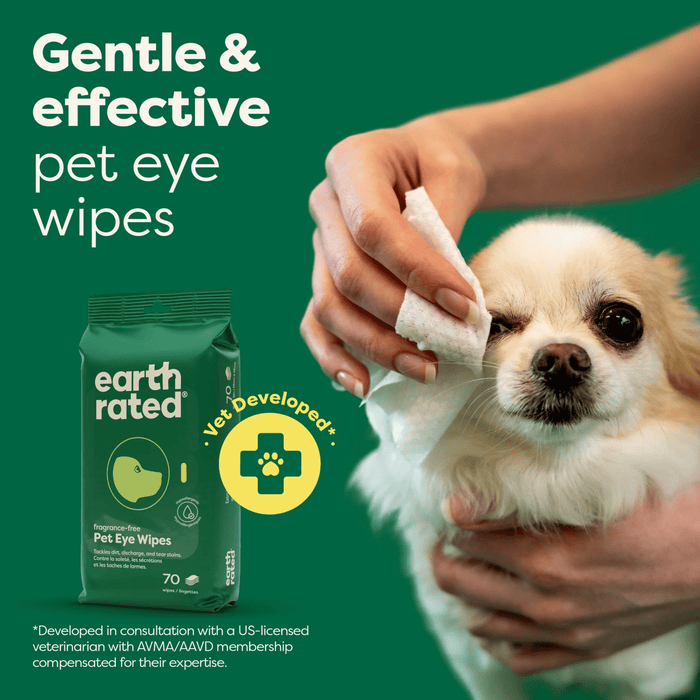 Green background with a cream coloured Chihuahua dog with it's eyes being cleaned with a Earth Rated Eye wipe.