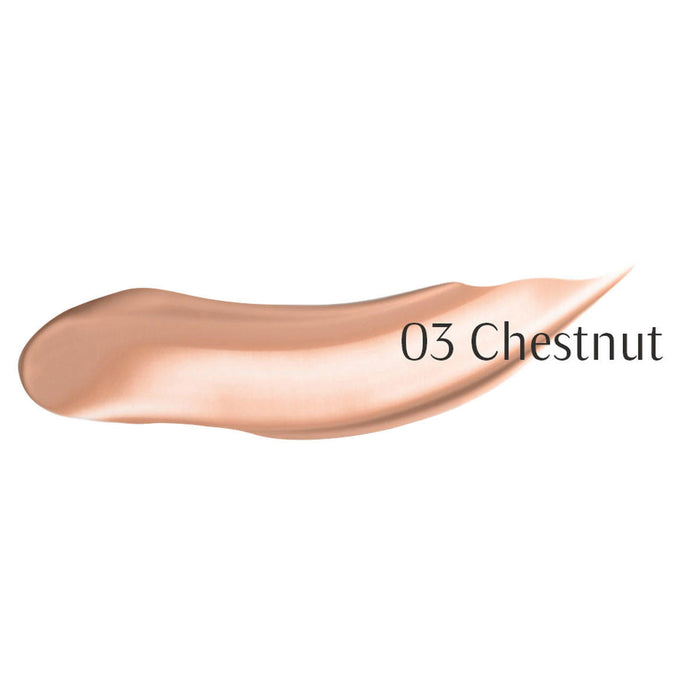 Chestnut-colored makeup swatch with '03 Chestnut' text on a white background.