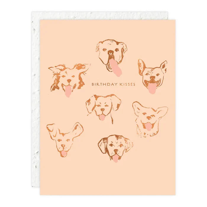 Greeting Cards | Seedlings