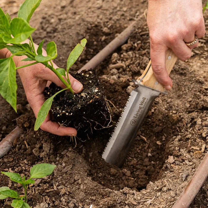 Hori Hori gardening knife in use