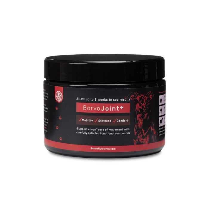 Black jar of Borvo Nutrients BorvoJoint+ supplement for dogs — supports mobility, stiffness relief, and joint comfort.