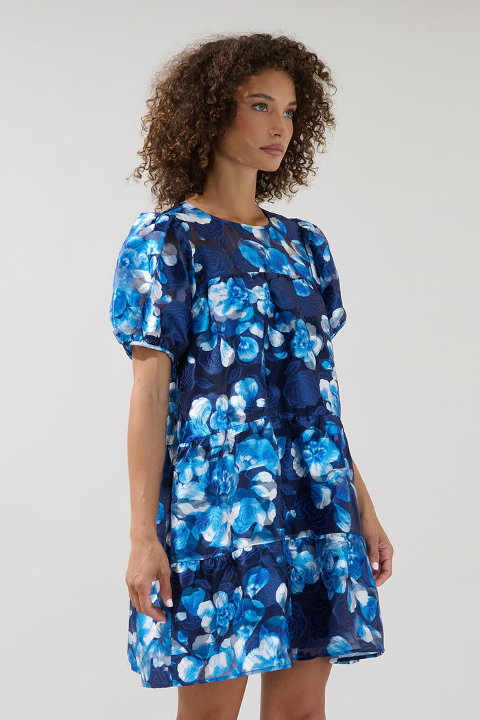 Marean Tiered Organza Mini Dress Abay Floral