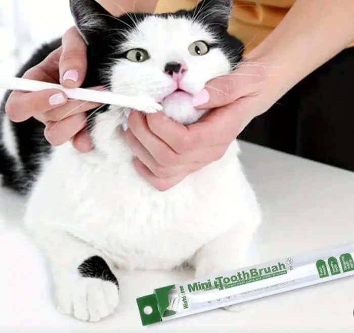 Mini Pet Toothbrush