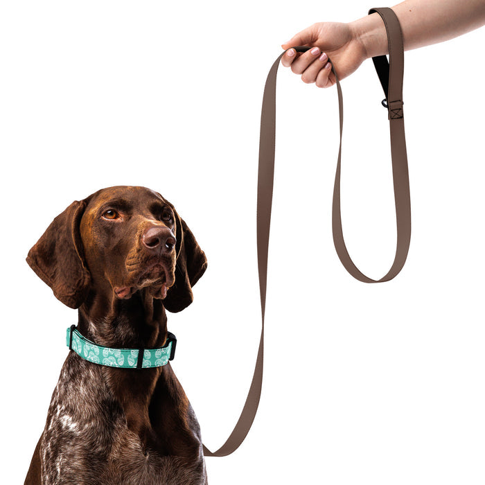 Paw Print Collar Aqua
