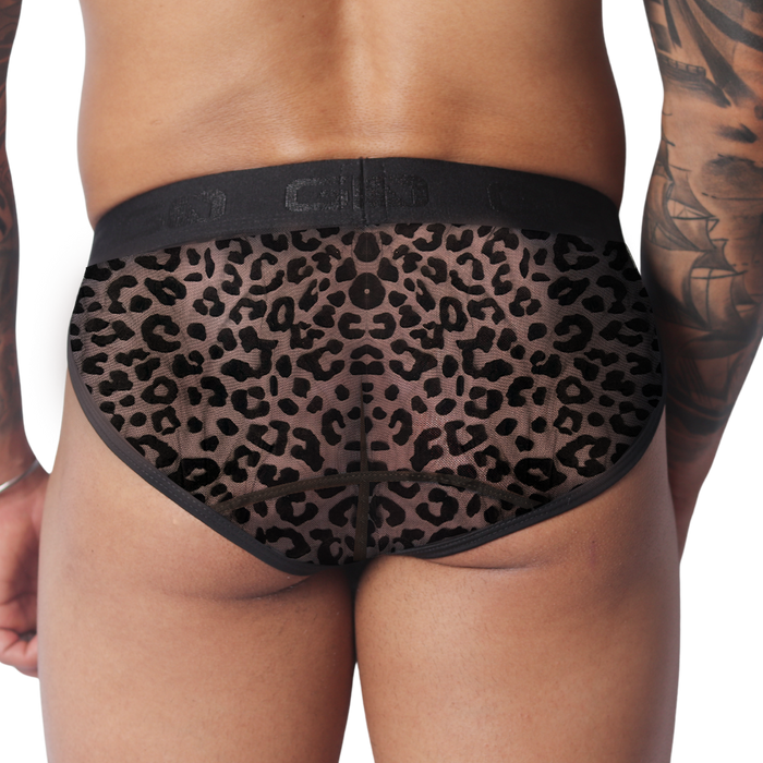 Plush Brief vista posterior de Gigo Underwear