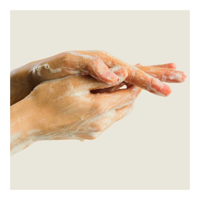 Black Chicken Remedies PureFoam Castile Hand and Body Soap Refill _4