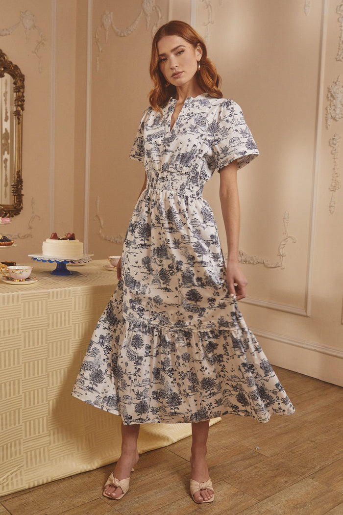 Renzo Toile Belraj Poplin Maxi Dress