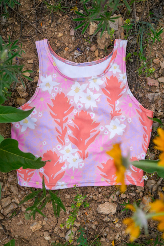 Summer Meadow // Eco Crop // Desert
