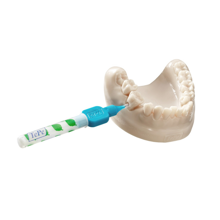 TePe Dental Model